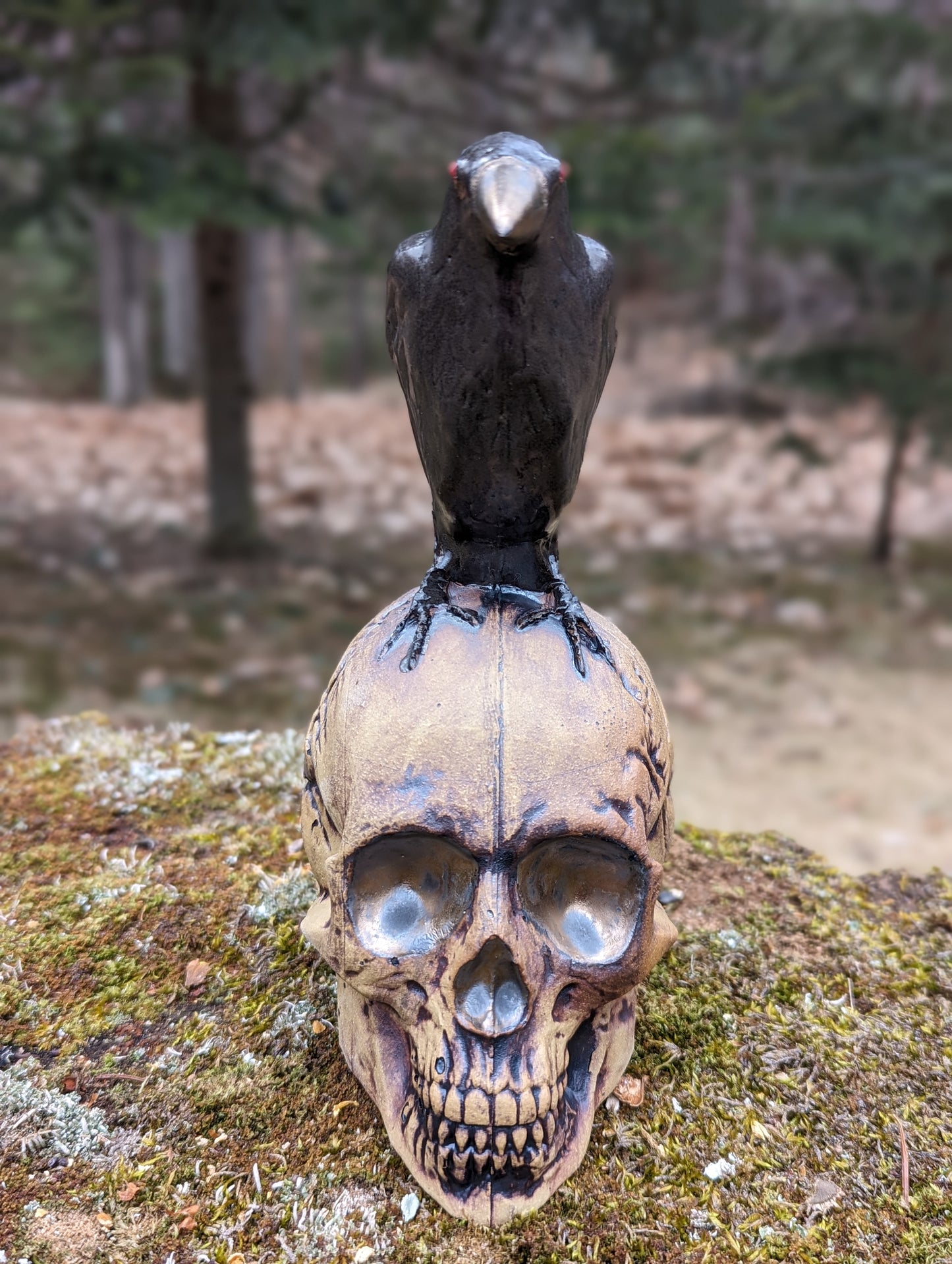 Crow and Skull - Bronze Beak