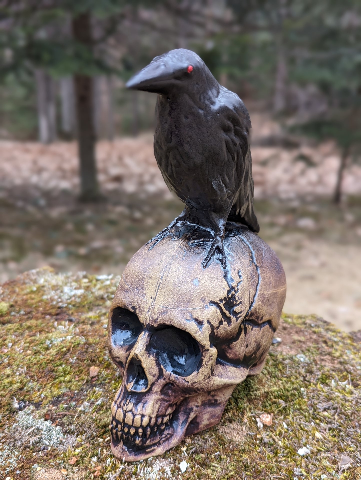 Crow and Skull - Black Beak