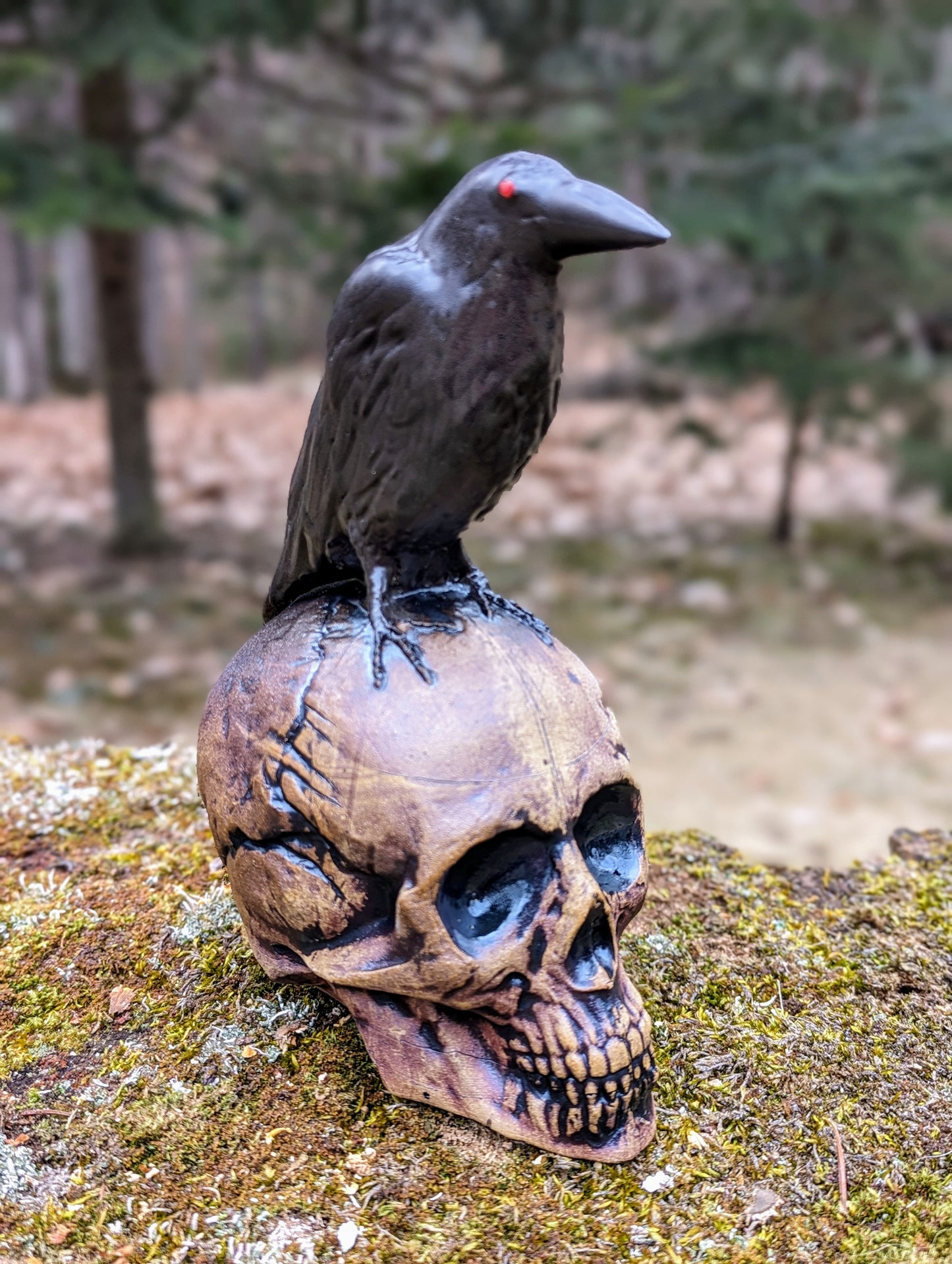 Crow and Skull - Black Beak