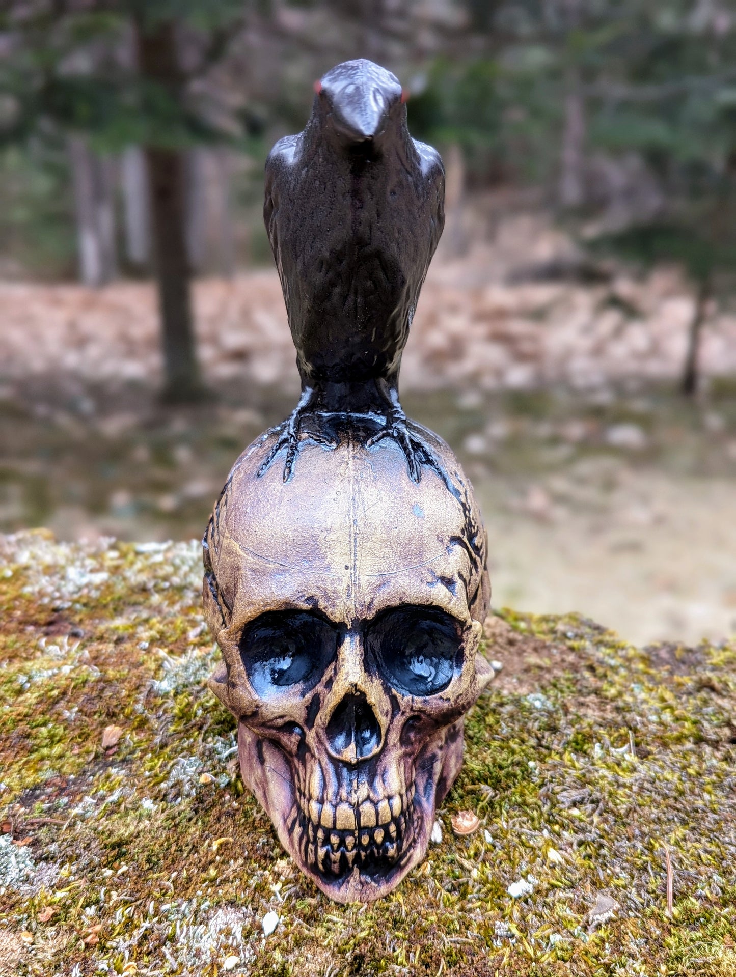 Crow and Skull - Black Beak