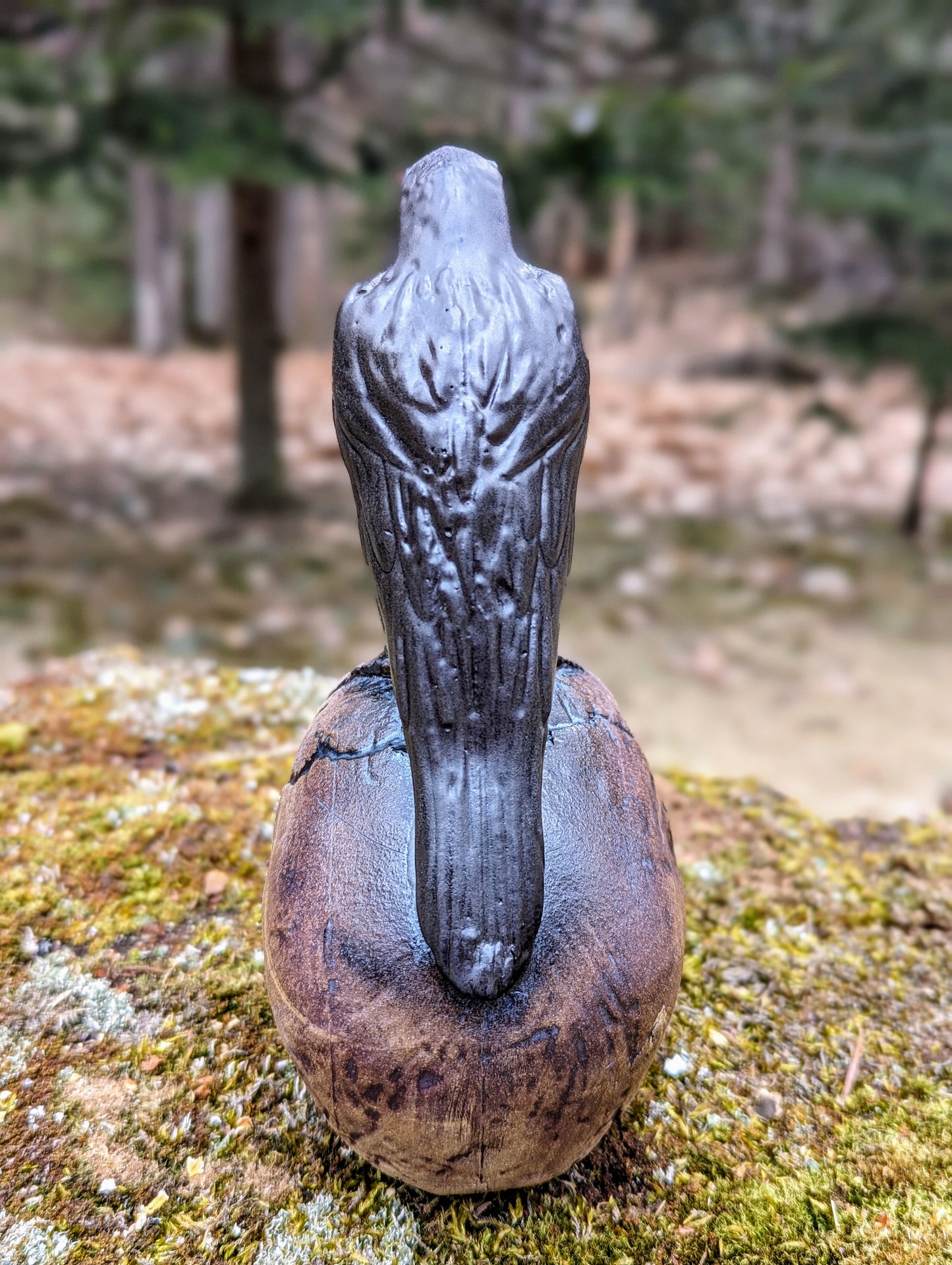 Crow and Skull - Black Beak