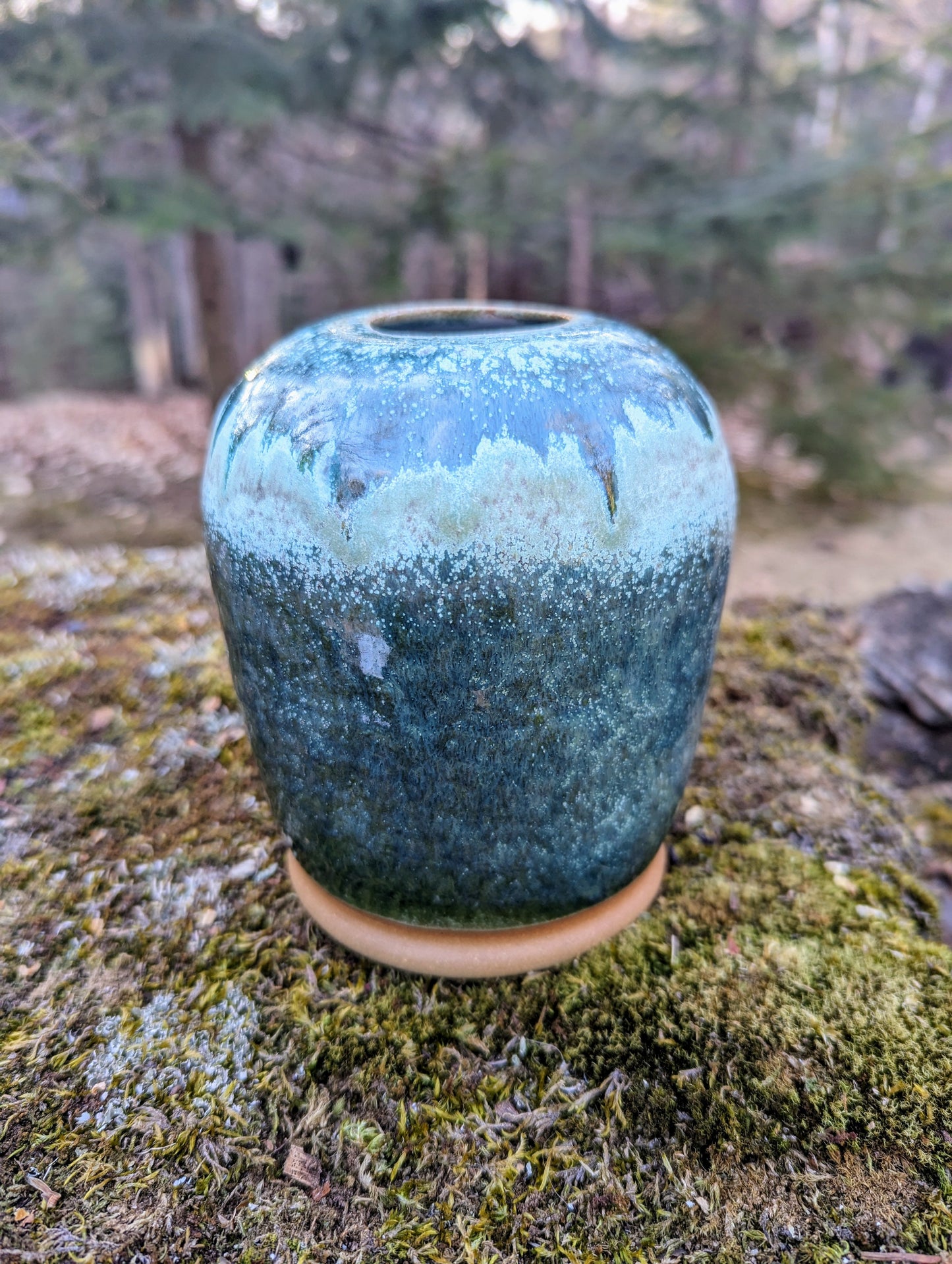 Moon Vase - Watercolor Green