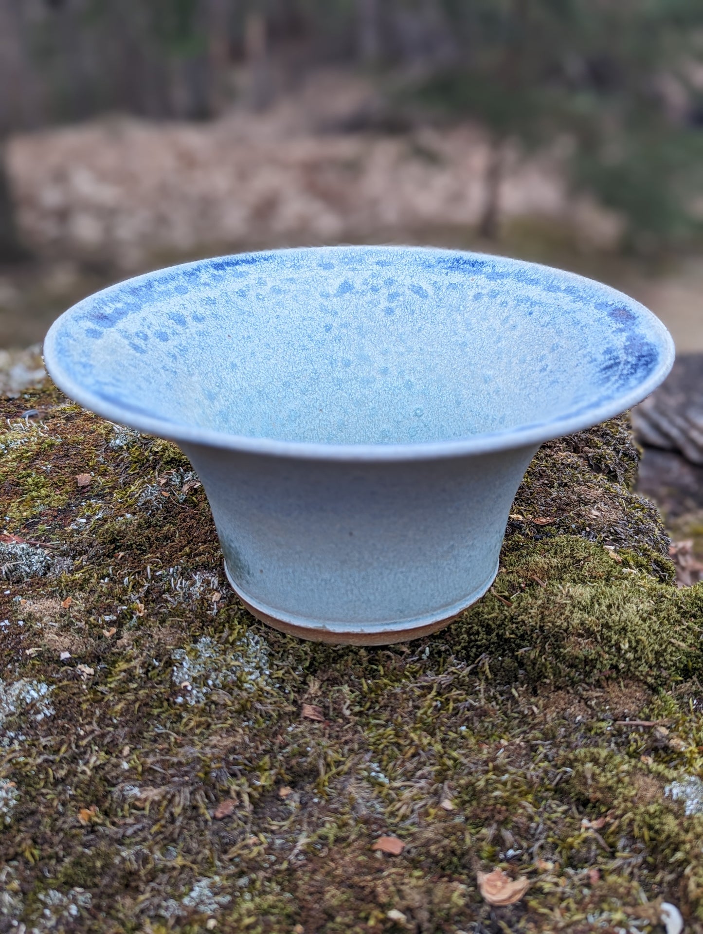 Wood Ash Wide Display Bowl - MPP-042