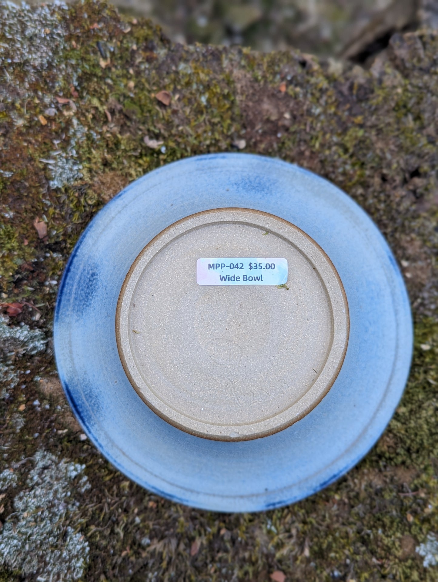 Wood Ash Wide Display Bowl - MPP-042